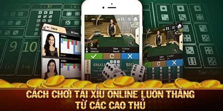 Bí Quyết Chơi Tài Xỉu Hi88 Thắng Lớn Dành Cho Tân Thủ